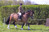 Championship-RIHS UK H and P