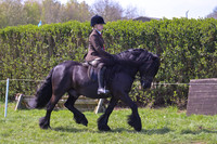 ric_1454h