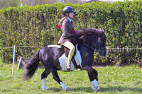ric_1466h