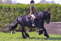 ric_1475h