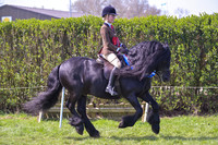 ric_1501h