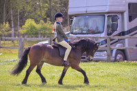 Championship-mini ring 3