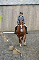dressage-5412