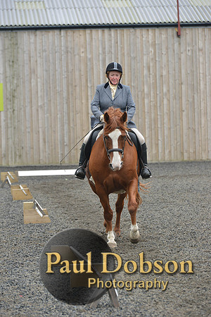 dressage-5412