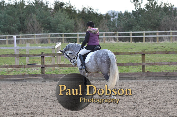 dressage-2415
