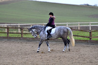 dressage-2416