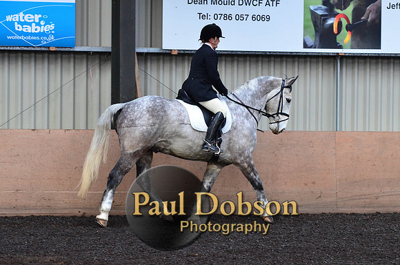 dressage-1-4