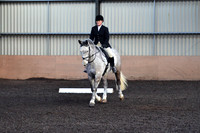 dressage-1-5