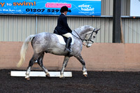 dressage-2423