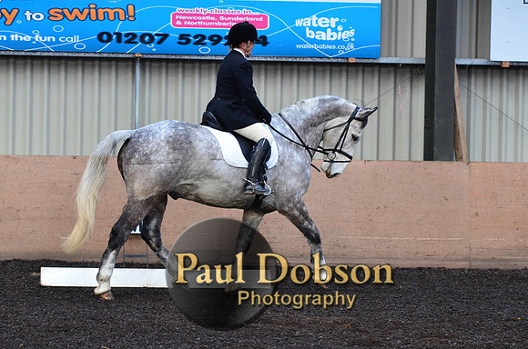 dressage-1-7