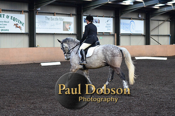 dressage-2425