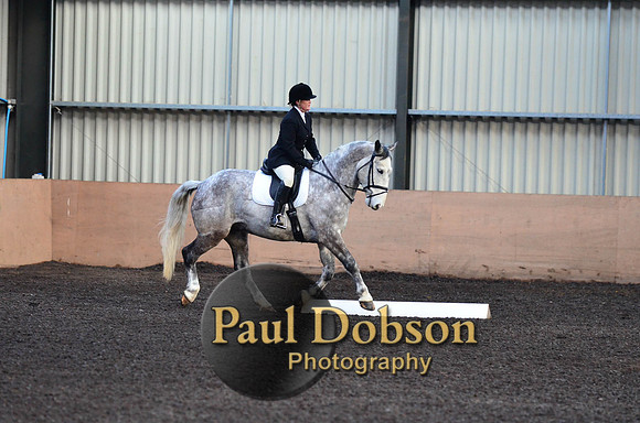 dressage-1-10