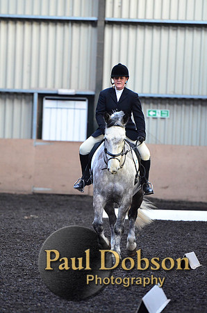 dressage-1-12