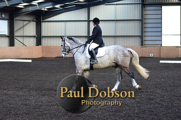 dressage-2429