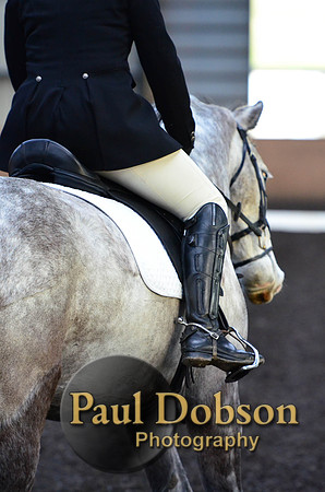 dressage-2430