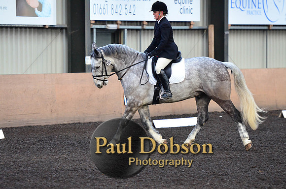 dressage-2-15