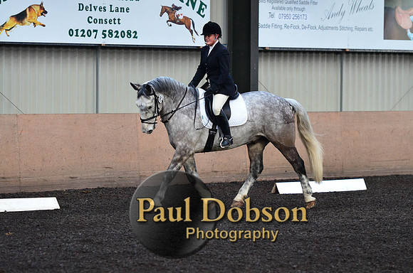 dressage-2-16