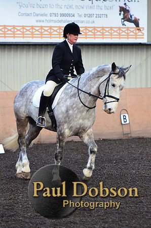 dressage-2433