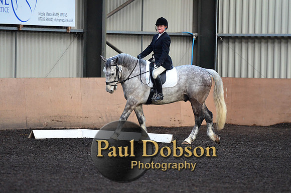 dressage-2435