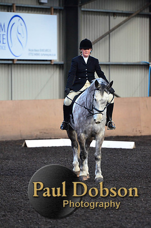 dressage-2437