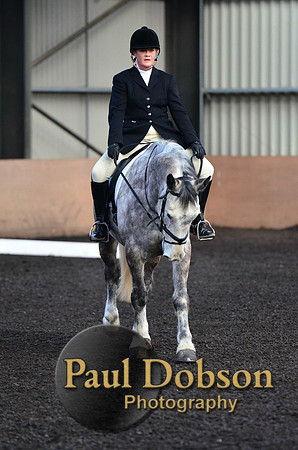 dressage-2438