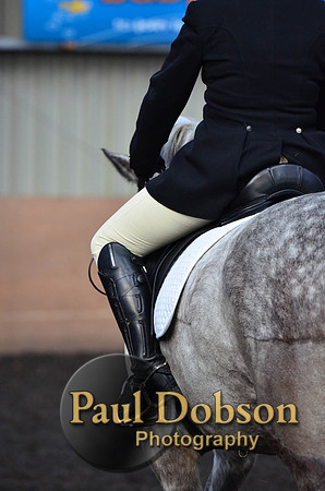 dressage-2439