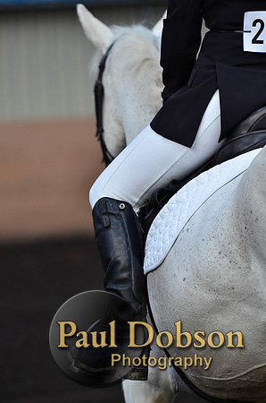 dressage-2462