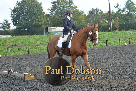 dressage-6787