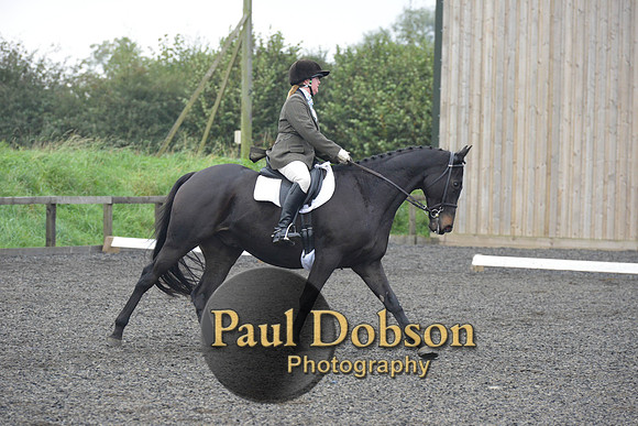 dressage-5213
