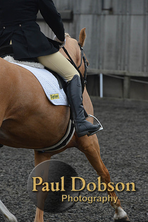 dressage-5759