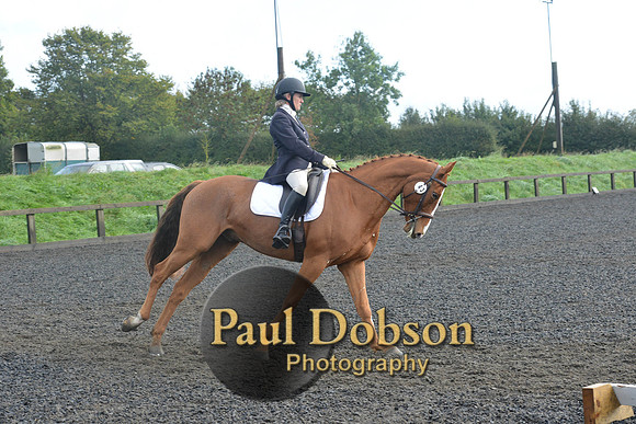 dressage-6793