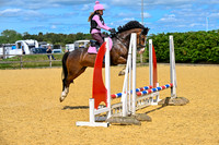 Show Jumping