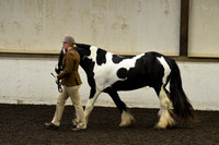 BSPA-9588