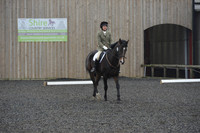 dressage-6282