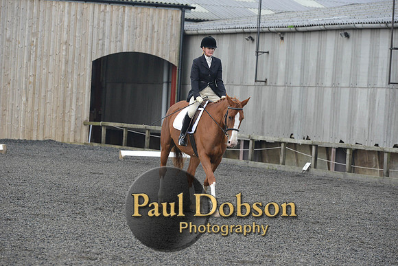 dressage-4525