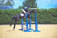 Show Jumping