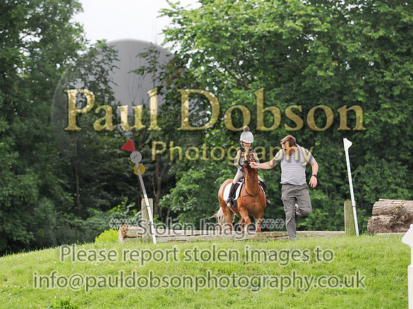 p6281306f