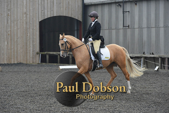 dressage-5754