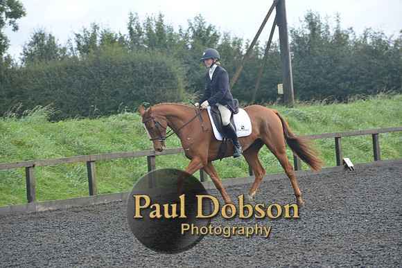dressage-6785