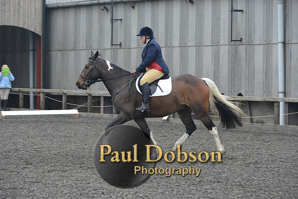 dressage-5700