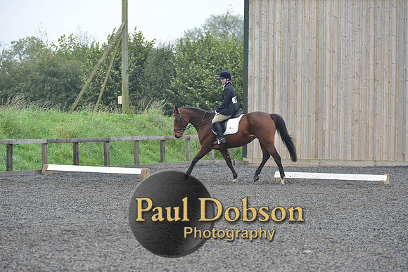 dressage-5226