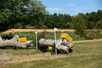 100_4055c
