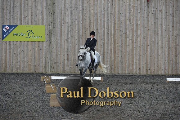 dressage-4560