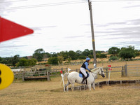 p8150355d
