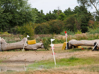 p8150911d