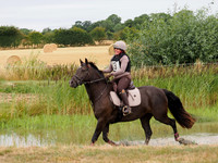 p8160012d