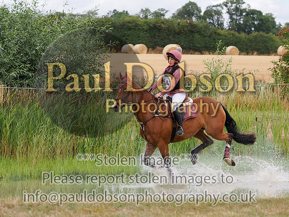 p8160228d