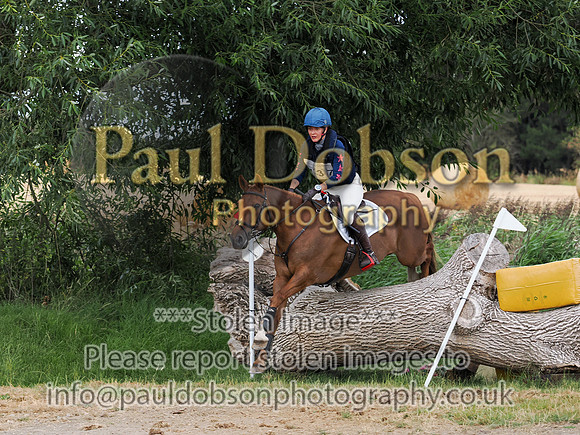 p8160550d