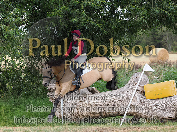 p8160561d