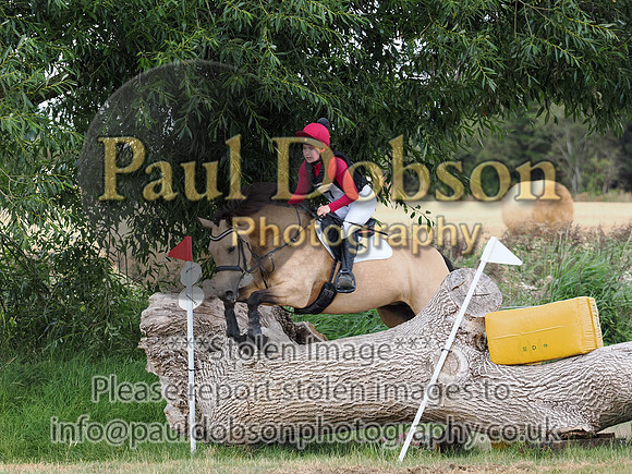 p8160560d